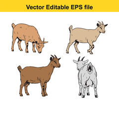 Vector art of group of four brown and grey goat illustrations in different stances