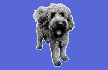 Dog cut out of paper for collage. Friendly pet, cute puppy. 
A sticker with three animals on torn paper from an old magazine. Halftone style, vector illustration. Contemporary art collage. 