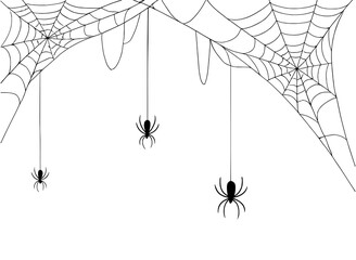  Spiders Hanging from Cobwebs, Halloween Border Decoration on Transparent Background
