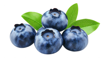 A close up of four blueberries with green leaves  in a studio setting shot well on transparent background