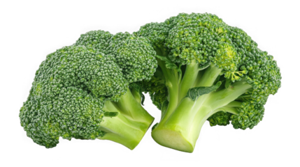 A close up shot of two heads of fresh green broccoli against a solid black background in sharp focus on transparent background