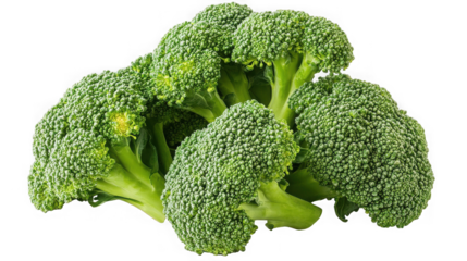 A close up view of several heads of fresh broccoli florets against a black background image scene on transparent background
