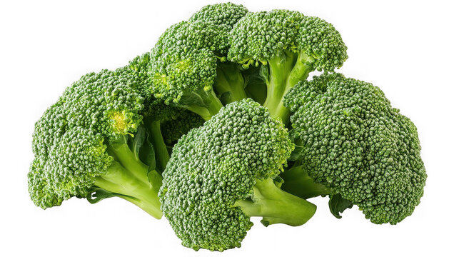 A close up view of several heads of fresh broccoli florets against a black background image scene on transparent background