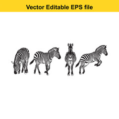 Vector art of group of five zebra illustrations in distinct poses
