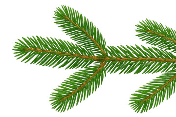 Obraz premium Fir tree branch with green needles, evergreen plant symbol for christmas and winter holidays, transparent background