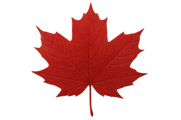 Fototapeta premium Red maple leaf representing autumn season, canadian symbol and nature on transparent background