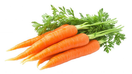 A close up of a bunch of fresh carrots with green leafy tops on transparent background