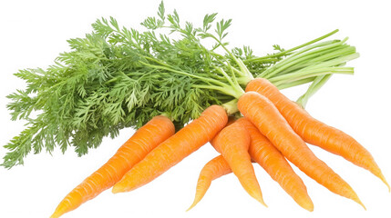 A bunch of fresh carrots with green tops lying  in a close up shot on transparent background