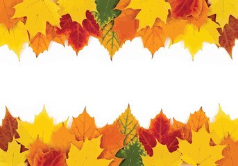 Fototapeta premium Vector illustration of autumn leaves border