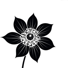 Obraz premium Black flower silhouette with detailed center bloom