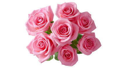 Obraz premium Fresh Pink Roses with Dewy Petals Arrangement, PNG Clipart Element with Transparency