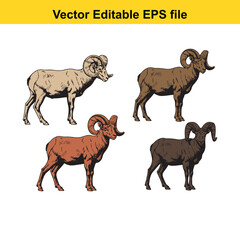 Vector art of four colorful bighorn sheep in different poses, , vector illustration