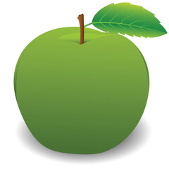 Apple fruit realistic vector illustration