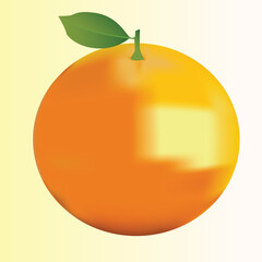 Orange fruit vector illustration