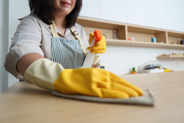 Home Maintenance. Woman cleaning kitchen counter with spray and cloth.