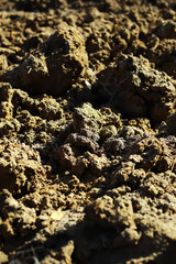 Close-Up of Freshly Plowed Earth Highlighting Detailed Soil Texture and Agriculture Readiness