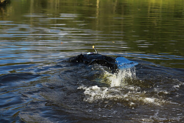Aquatic Adventure: Duck Submerging in Lake with Rippling Water and Splashing Action
