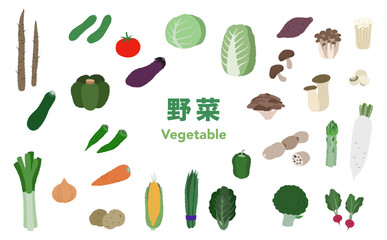 フラットイラスト：野菜セット