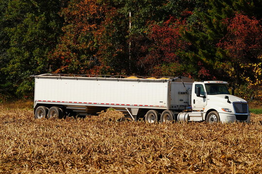 A white semi truck connected to a hopper trailer sits parked in a crop field.