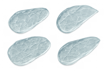 Ice pieces with cracked texture on transparent background, symbolizing frozen water and cold winter elements