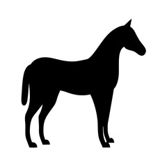 Elegant silhouette of a standing horse against a stark white background