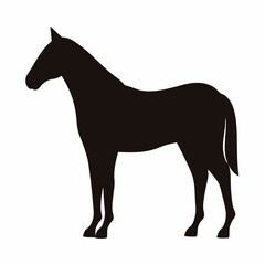 Dramatic horse silhouette in black against white background conveying power and grace
