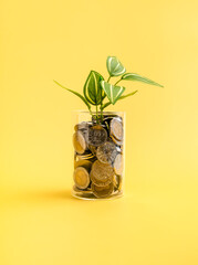 Glass jar filled with coins and growing green plant on yellow background, symbolizing saving money,...