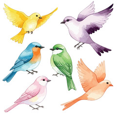 Fototapeta premium Vector illustration of watercolor illustration of six colorful birds in flight and perched
