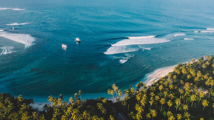 Aerial view of a stunning tropical coastline with lush palm trees, a sandy beach, and clear blue ocean waves.