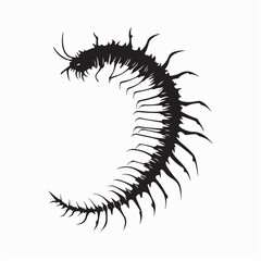 Creepy Centipede Insect Silhouette Vector Art Illustration