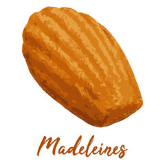 Madeleines in watercolor illustration style, isolated vector on white background