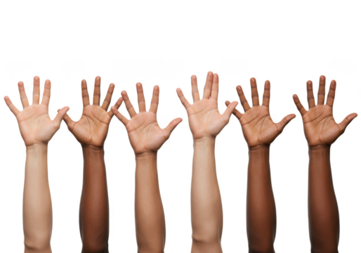 Multiple raised hands of different skin tones isolated on transparent background