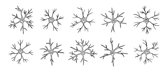 neurons or neuron cells doodle hand drawn icon set. Outline pyramidal neurons drawing line clipart symbol collection