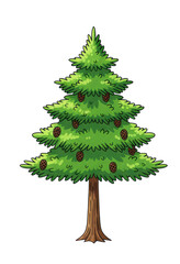 Cartoon Style Evergreen Pine Tree With Pinecones and Brown Trunk Against Transparent Background
