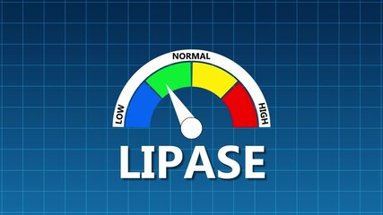 Lipase Level Indicator Gauge Displaying Low Normal and High Readings on Blue Grid Background meter dial