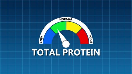 Total Protein Level Indicator Gauge with Low Normal and High Readings on Blue Grid Background meter