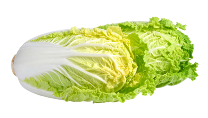 An oblong Chinese cabbage with layered, ruffled green leaves, pale interiors, and dark background on display
