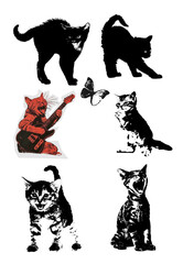 alL CAts aRE BeaUtiFul - 2