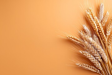 Wheat Stalks on a Soft Orange Background for Natural and Rustic Themes