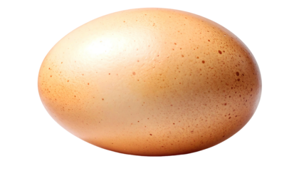 Close up view of a mottled brown, oval-shaped chicken egg against a stark black background, simple and natural