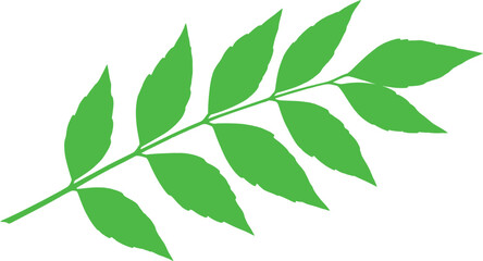Fototapeta premium Vibrant green leaf branch with delicate veins, symbolizing nature's growth and freshness.