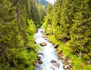 Obraz premium Mountain stream or river in a forest, spring nature landscape