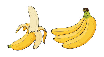 Illustration of a peeled banana and a bunch of fresh bananas © Nasima