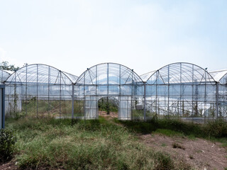 aerial view greenhouse on mountain