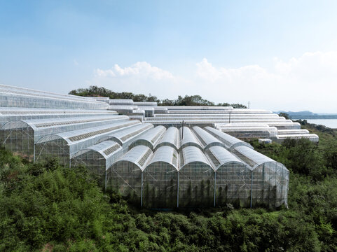 aerial view greenhouse on mountain - Powered by Adobe