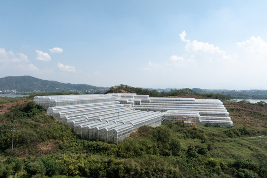 aerial view greenhouse on mountain - Powered by Adobe