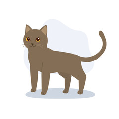 adorable gray brown cat cartoon featuring short hair feline standing pose .