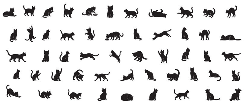 Collection of black cat and kitten silhouettes in various poses, isolated on white background. concept of pets, cute felines, domestic animal, playtime, design element. Set