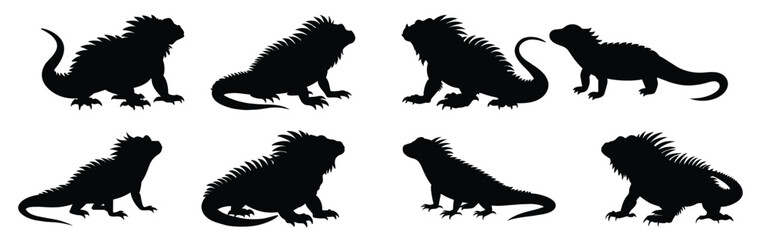 Colorful set of cartoon iguanas isolated on a white background. Concept of reptile illustrations, cute iguana characters, vibrant lizards, nature-themed design elements