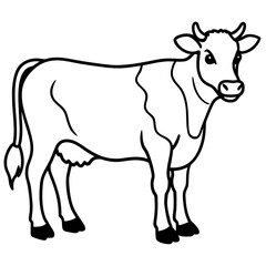 black and white cow